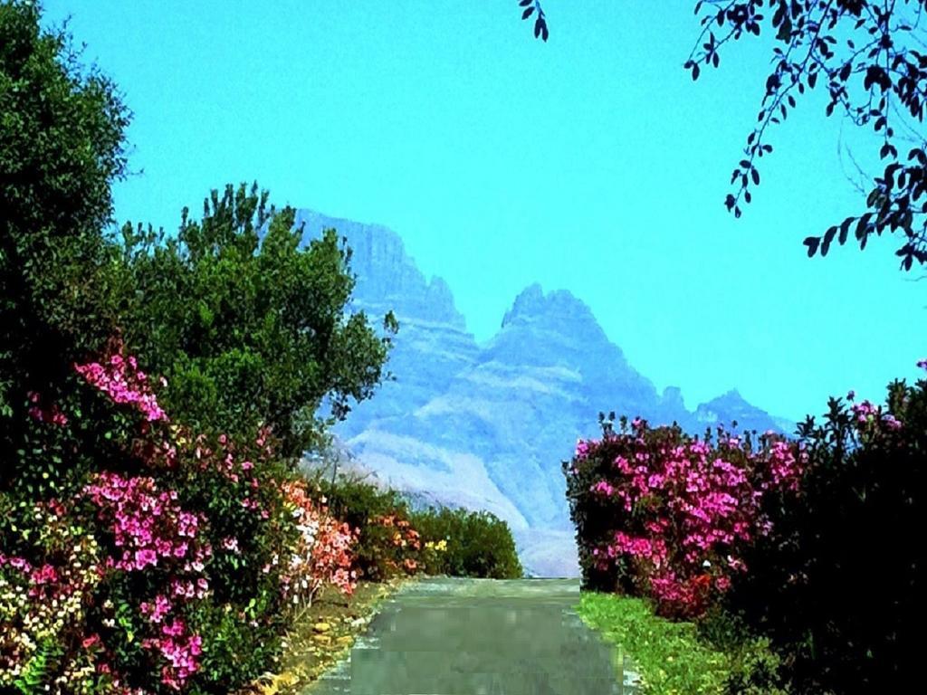 Emafweni Villa Champagne Valley Rum bild