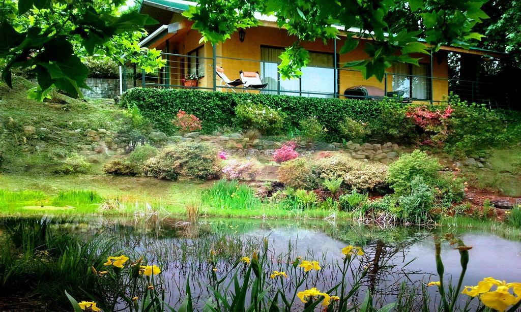 Emafweni Villa Champagne Valley Rum bild